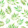 Green watercolor leaves on white background. Seamless pattern Royalty Free Stock Photo