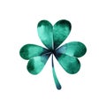 Green watercolor trifolium clover. Irish holiday Saint Patrick`s Day. Green watercolor trifolium clovers. Irish holiday