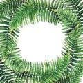 Watercolor fern wreath