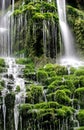 Green waterfall