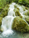 Green waterfall