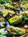 Green waterfall in the forest Royalty Free Stock Photo