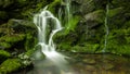 Green waterfall in a forest Royalty Free Stock Photo