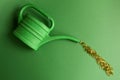 Green watering can with beads on the green blackground