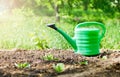 Green watering can in garden on ground Royalty Free Stock Photo