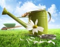 Green watering can with large daisy Royalty Free Stock Photo