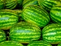 Green watermellons Royalty Free Stock Photo