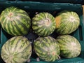 Green watermelon ready to be sold