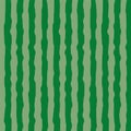 Green and Watermelon skin pattern, vector texture