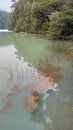 green waters of Lago Fria, in Puerto Blest, Argentine