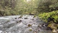 green waters of River Fria, in Puerto Blest, Argentine