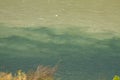 Green waters of the Thompson River mix with the muddier brownish waters of the Fraser River