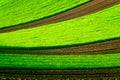 Green wavy field in South Moravia