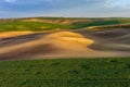 Green wavy hills with agricultural fields