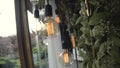 Green wedding presidium in restaurant with light bulbs and floral elements.