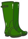 Green wellington boots