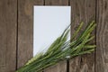 Green wheat branches with fields lie on an old wooden table and a white empty leaf with a place for text