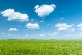 green wheat field and blue sky landscape Royalty Free Stock Photo