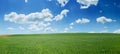 Green wheat field and blue sky panorama Royalty Free Stock Photo