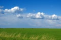 Green wheat field and clouds