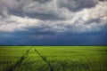 Green Wheat Field with Road and Stormy Cloudy Sky. Dramatic Landscape. Composition of Nature Royalty Free Stock Photo