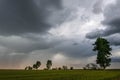 Green wheat field and storm clouds Royalty Free Stock Photo