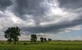 Green wheat field and storm clouds Royalty Free Stock Photo