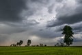 Green wheat field and storm clouds Royalty Free Stock Photo