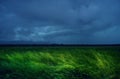 Green wheat field with stormy rainy dark clouds over the Western Plain of Romania. Royalty Free Stock Photo