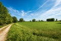 Green Wheat Fields in Springtime - Padan Plain or Po valley Lombardy Italy Royalty Free Stock Photo