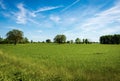 Green Wheat Fields in Springtime - Padan Plain or Po valley Lombardy Italy Royalty Free Stock Photo