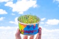 Green Wheat Grass with Colorful Paper Pot and Word Happy 170917 Royalty Free Stock Photo