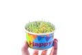Green Wheat Grass with Paper pot and Word Happy 170917 0025 Royalty Free Stock Photo