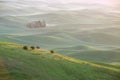 Green wheat hill from palouse Royalty Free Stock Photo