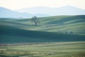 Green wheat hill from palouse Royalty Free Stock Photo