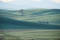 Green wheat hill from palouse Royalty Free Stock Photo