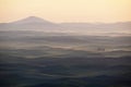 Green wheat hill from palouse Royalty Free Stock Photo