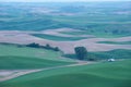 Green wheat hill from palouse Royalty Free Stock Photo