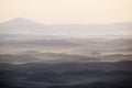 green wheat hill from palouse Royalty Free Stock Photo