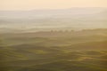 green wheat hill from palouse Royalty Free Stock Photo