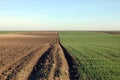 Green wheat and plowed field agriculture landscape Royalty Free Stock Photo