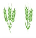 Green Wheat