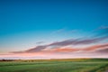 Green Wheat In Spring Field Under Scenic Summer Colorful Sky At Sunset Royalty Free Stock Photo