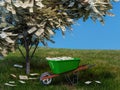 Green wheelbarrow filled with 100 US dollar banknotes collected from money tree Royalty Free Stock Photo