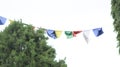 Green white blue and yellow flags on the sky Royalty Free Stock Photo