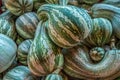 Green and white bottle gourds Royalty Free Stock Photo
