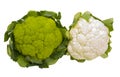 Green and White Cauliflower Isolated Royalty Free Stock Photo