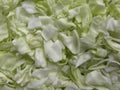 Green and white color chopped cabbage