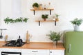 Green and white kitchen interior with plants and herbs, real photo