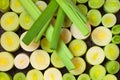 Green and white leeks Royalty Free Stock Photo